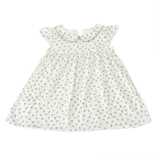 Floral Peter Pan Collar Dress