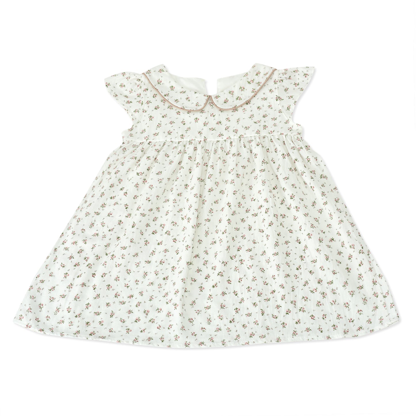 Floral Peter Pan Collar Dress