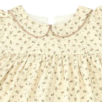 Floral Peter Pan Collar Dress
