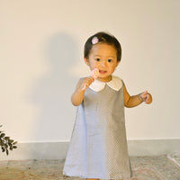 Micro Dot A-line Dress