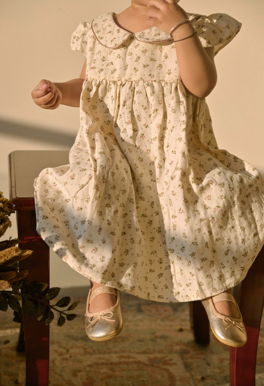 Floral Peter Pan Collar Dress